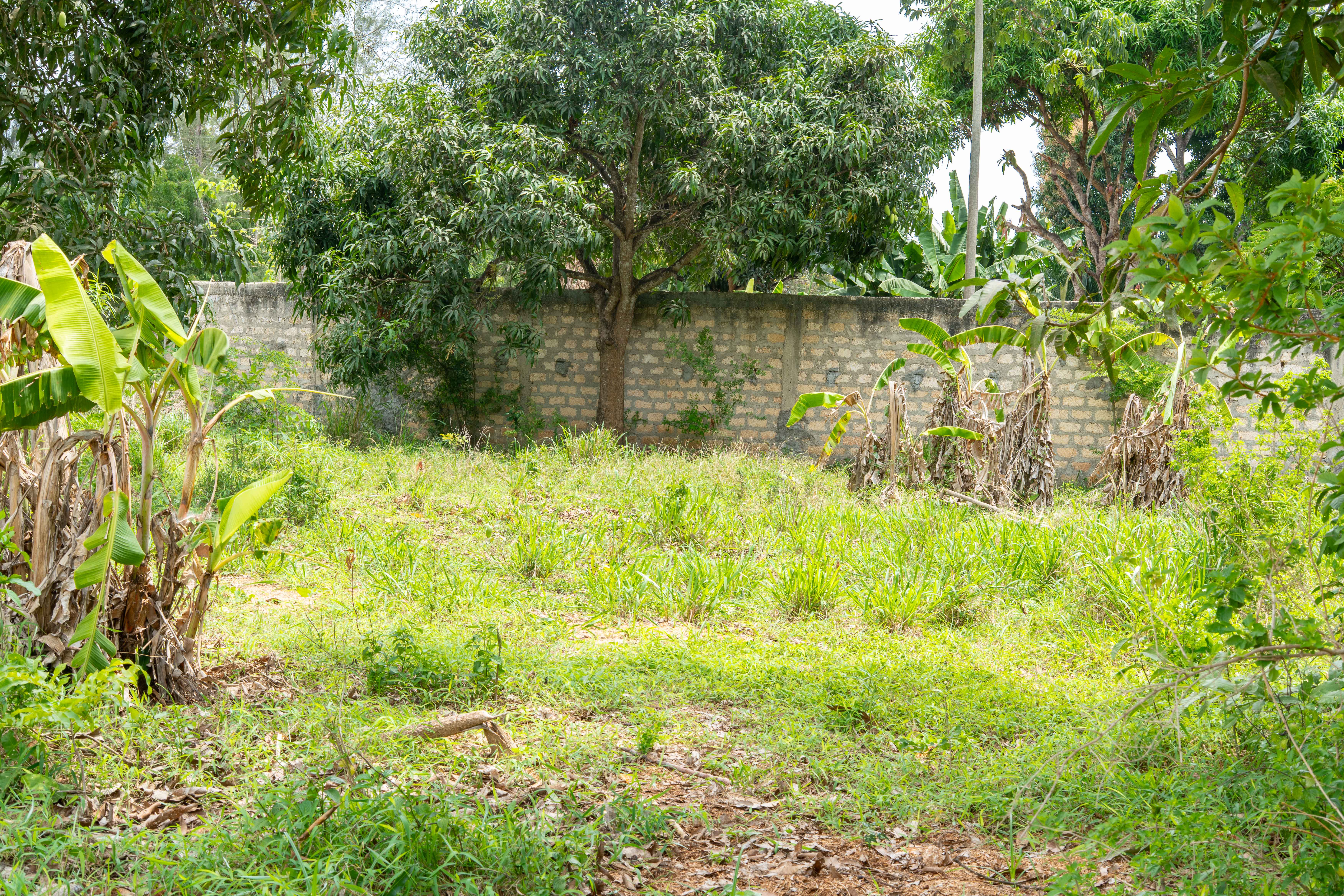 Mtwapa Project